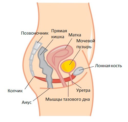 лечение недержания мочи у женщин